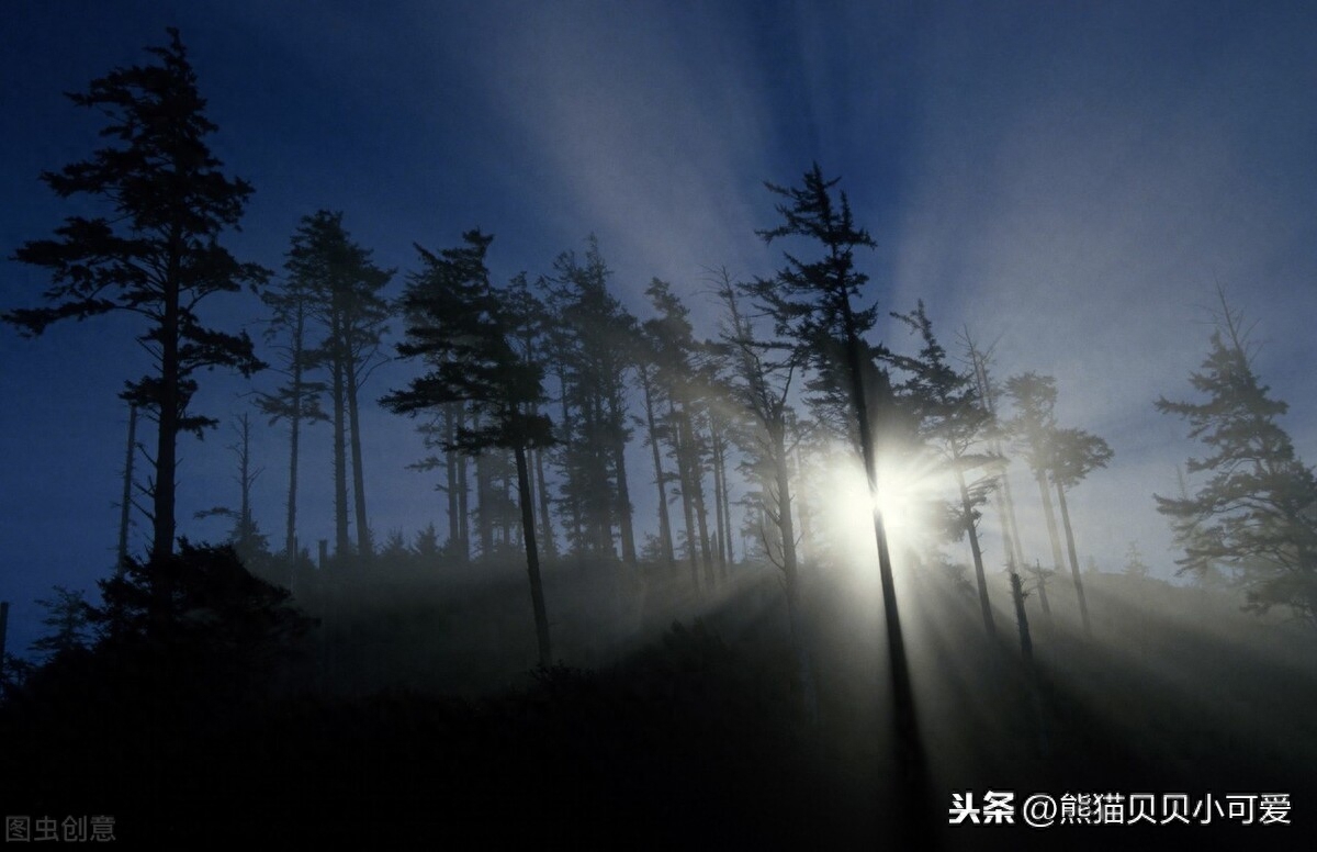 用货币追逐房产，注定是追逐不到的，应该用房产追逐房产_南非货币是哪国货币_用勇气追逐梦想